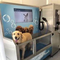Pamper Your Pooch ico