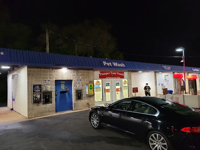 Pamper Your Pooch Picture 4