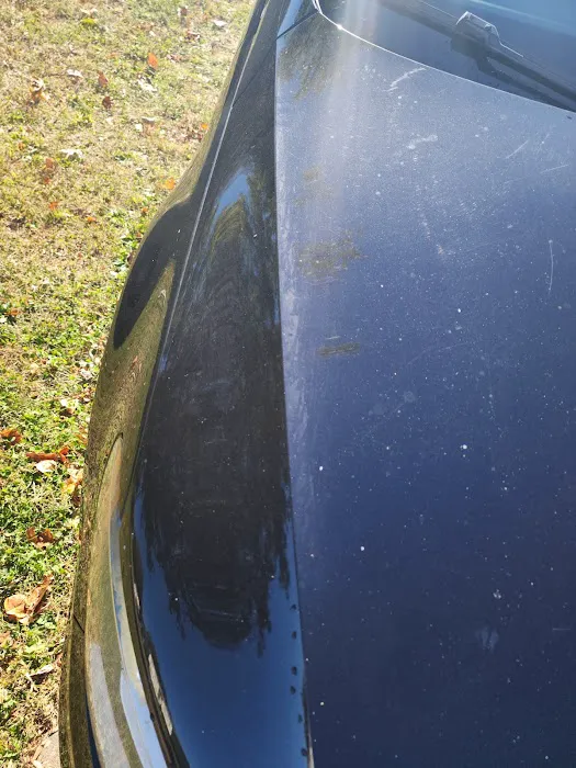 Twin City Auto Bath Picture 4