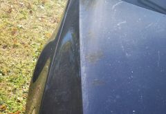 Twin City Auto Bath photo 4