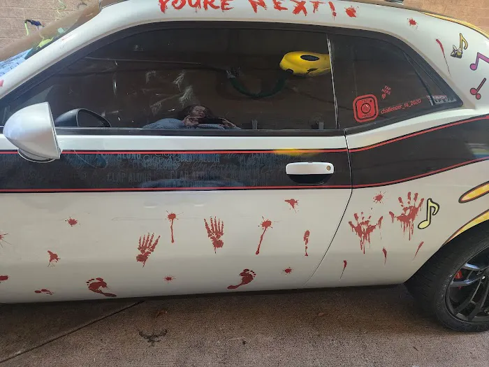 Scrubby Duck ( Self Car Wash) Picture 5