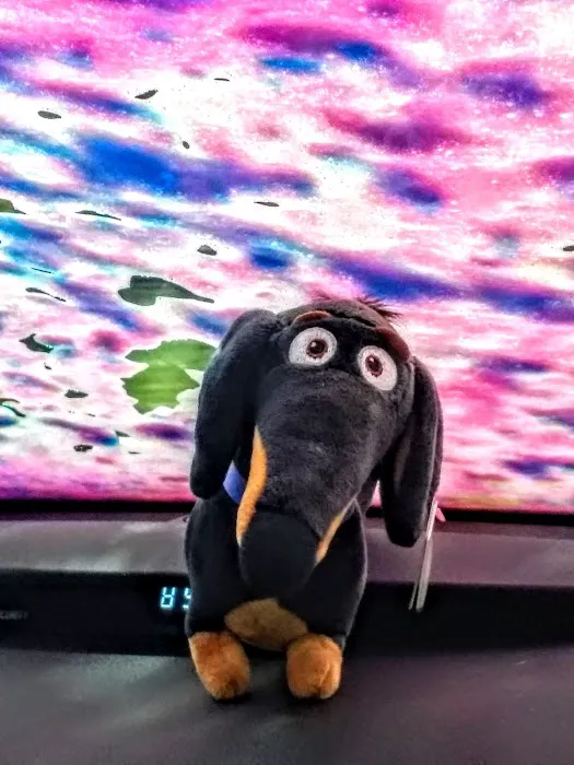 Arras Carwash Picture 2