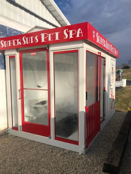 Super Suds Auto Wash Picture 1