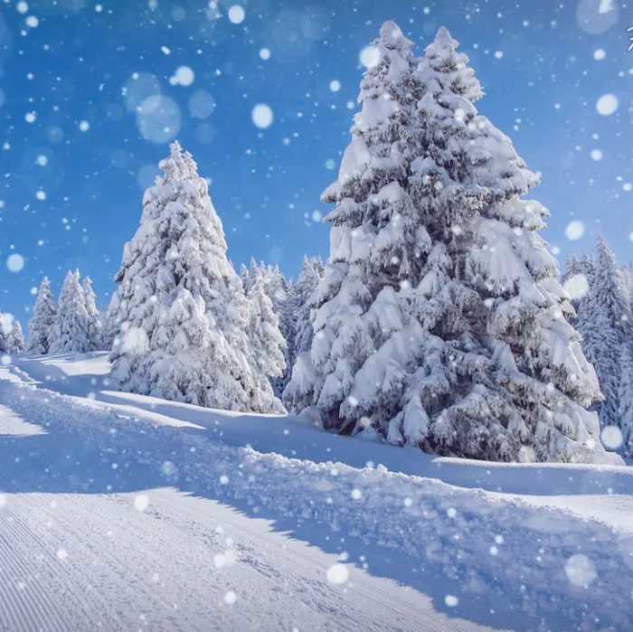 7 Hills Car Wash Picture 3