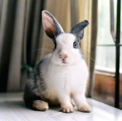 7 Hills Car Wash Picture 5