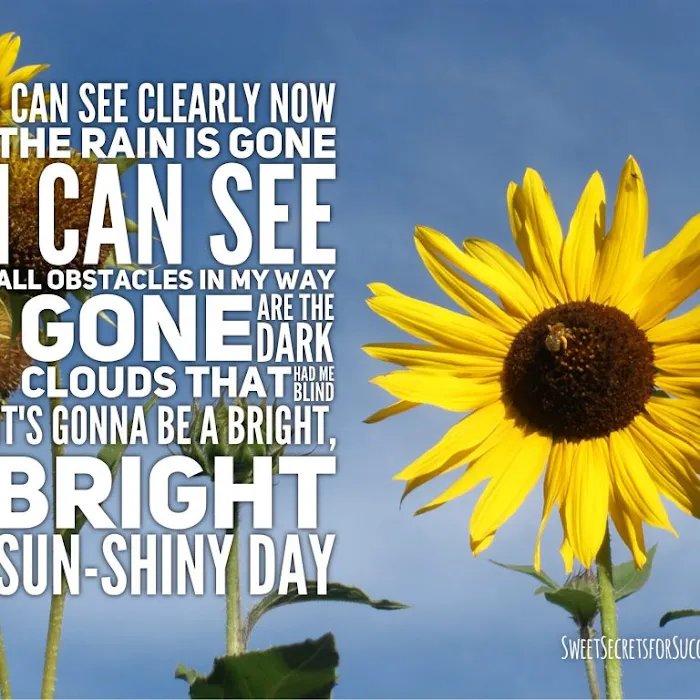 7 Hills Car Wash Picture 7