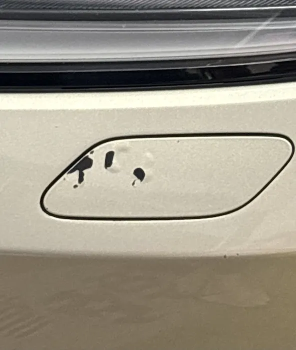 Club Car Wash Picture 9