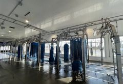 Auffenberg Express Car Wash photo 3