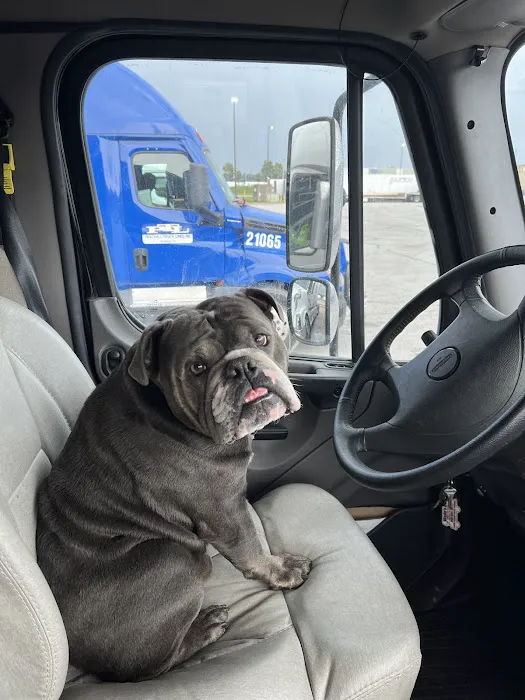 Troy's Finest Car & Pet Wash Picture 6