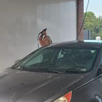 Aqua Adventure Super Wash #3 ico