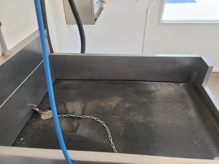 Classic Car Wash Picture 3