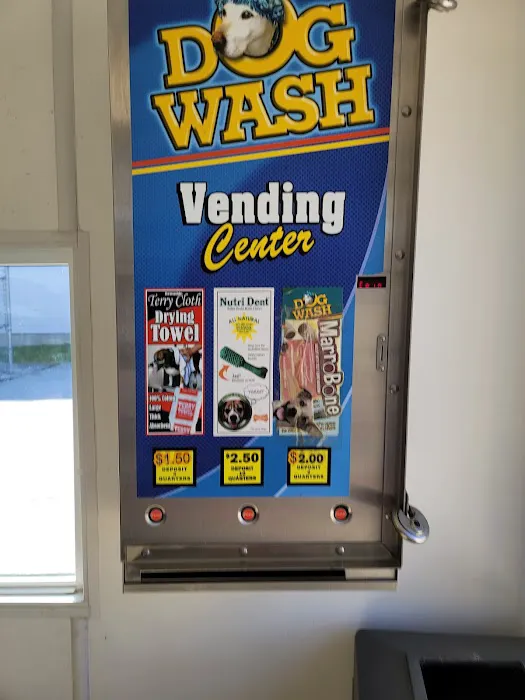 Classic Car Wash Picture 2