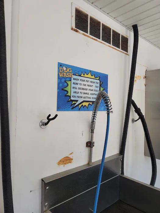 Classic Car Wash Picture 5