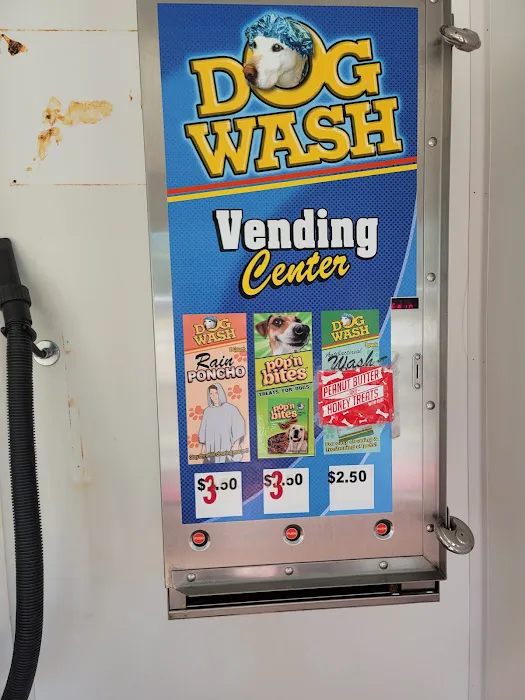 Classic Car Wash Picture 7