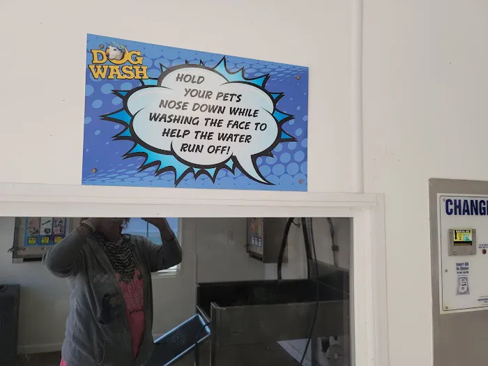 Classic Car Wash Picture 8