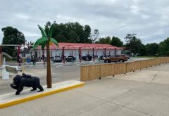 Gorilla Express Auto Wash - Cottage Hills photo 3