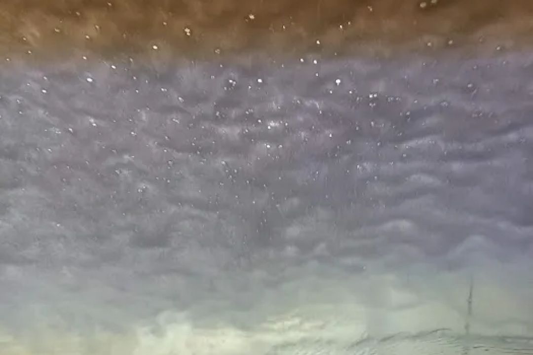 Buggy Bath Car Wash II