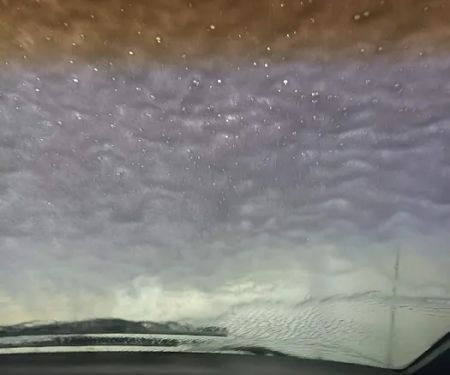 Buggy Bath Car Wash II