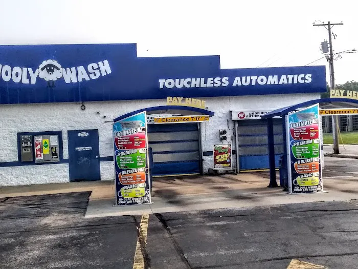 Wooly Wash Picture 1