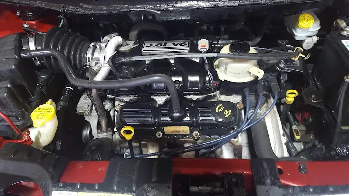 Wooly Wash Picture 4