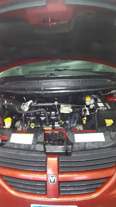 Wooly Wash Picture 3