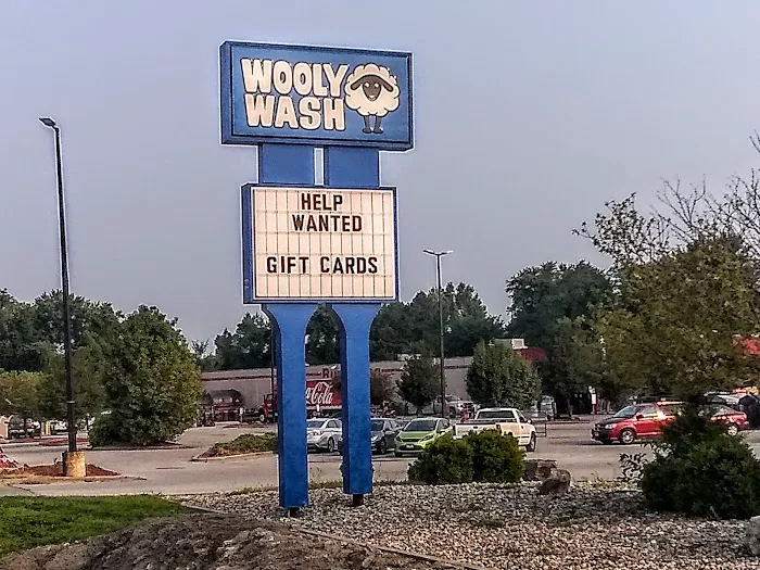 Wooly Wash Picture 9