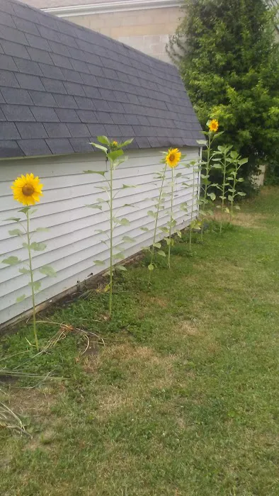 Super Wash Picture 6