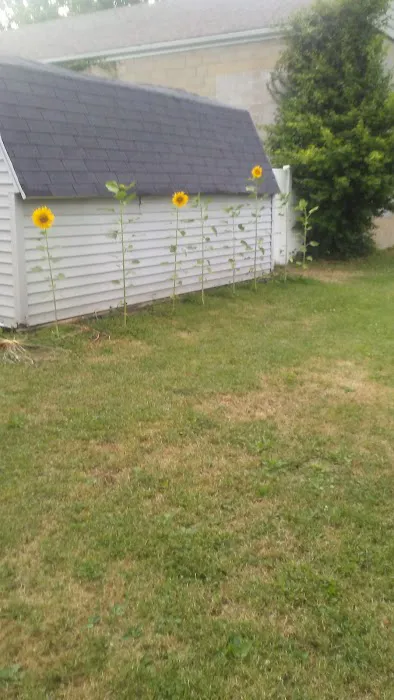 Super Wash Picture 2