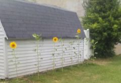 Super Wash photo 2