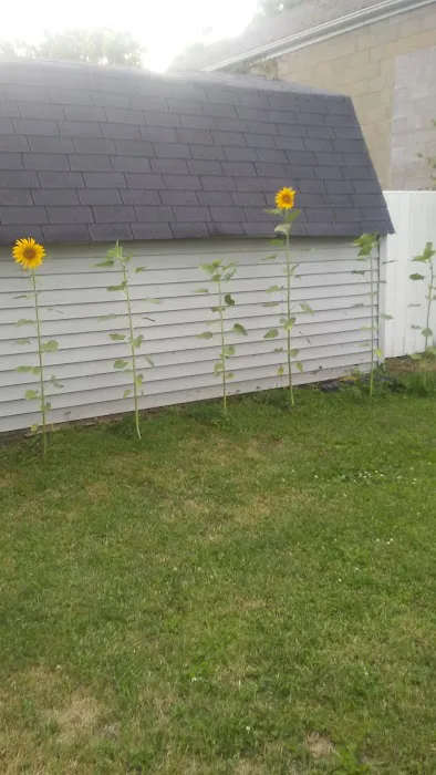 Super Wash Picture 1