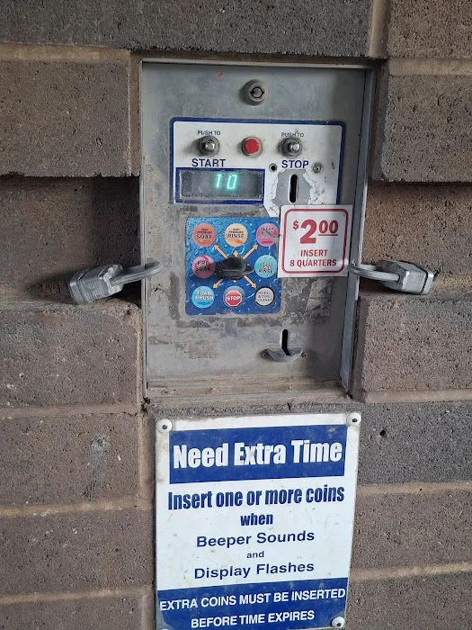 Bdogs Car Wash Picture 3