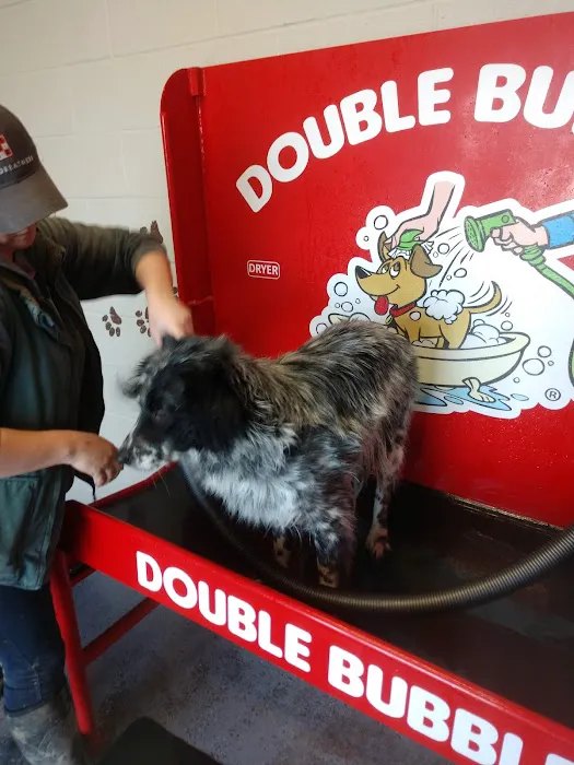 Double Bubble Carwash Picture 10