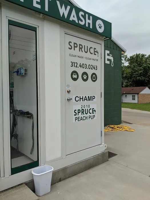 Spruce Car & Pet Wash Picture 3