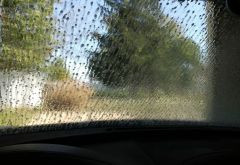 Super Wash photo 1