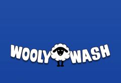 Wooly Wash photo 1