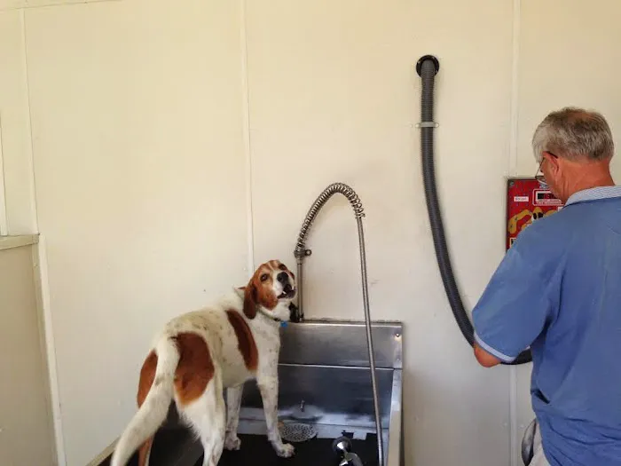 Car Wash City Picture 7