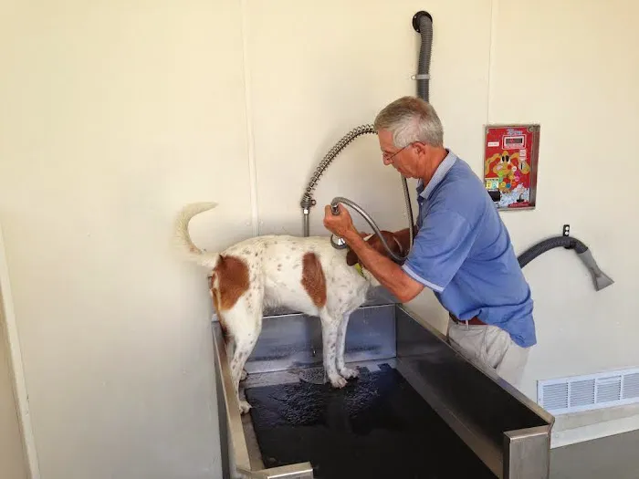 Car Wash City Picture 6