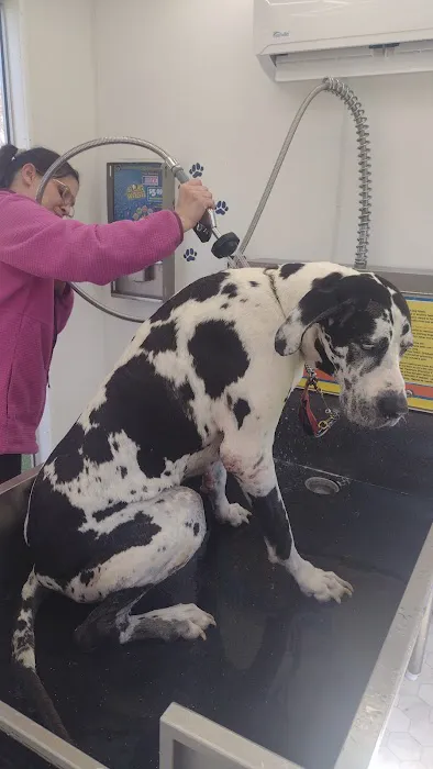 Blazin' Car Wash Picture 9