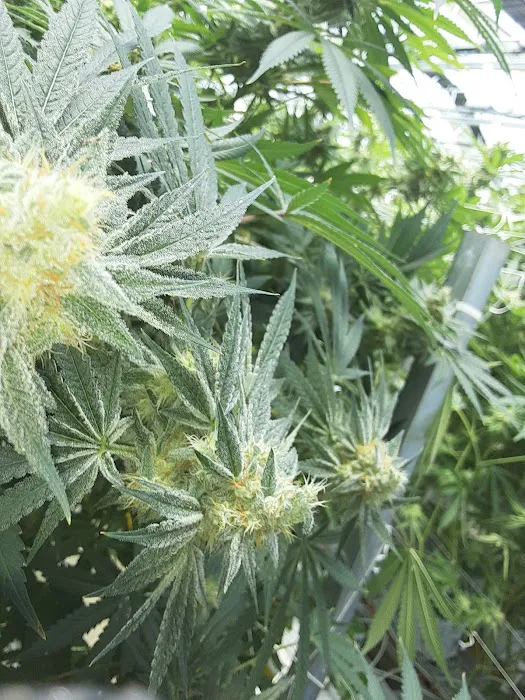 Wash N Go Inc Picture 8