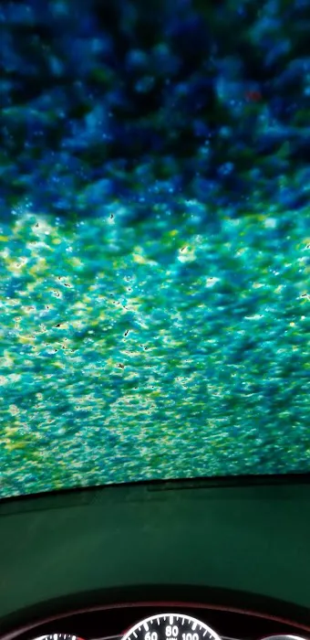 Wildcat Wash Picture 4