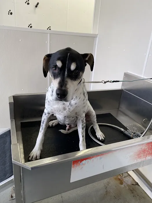 Car Wash City Picture 9