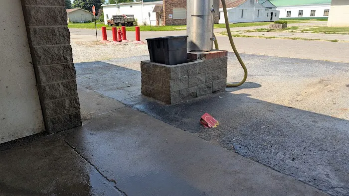 Bird Bath CARWASH Picture 1