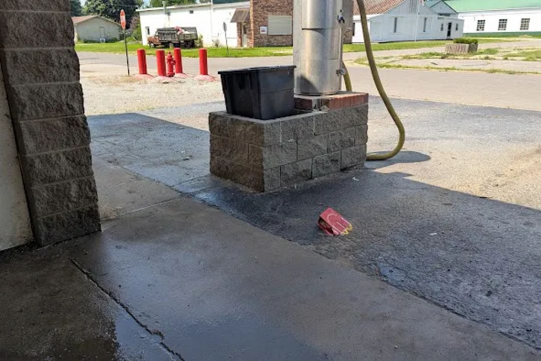 Bird Bath CARWASH