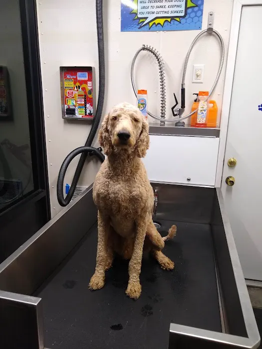Lone Oak Car Wash Picture 2