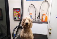 Lone Oak Car Wash photo 2