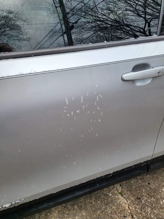 Halo Car Wash Picture 4