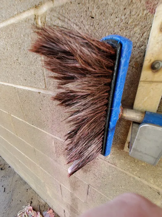 F5 Auto Wash Picture 9