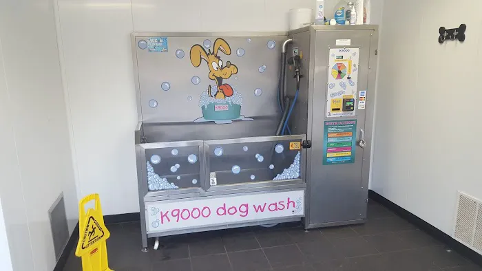 Mighty Max Express Car Wash & Dog Wash Picture 4