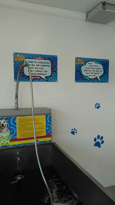 Expressway Self Services Car Wash Picture 5