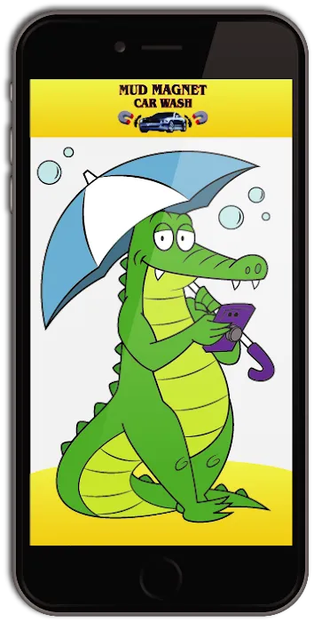 Mud Magnet Car Wash #1 Picture 10